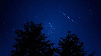 Tree silhouettes and a shooting star