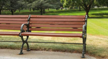 Bench in a city park