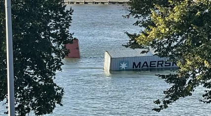 A container ship crashed into the Willems Bridge in Rotterdam and lost five containers in the Nieuwe Maas, 11 September 2024
