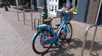 Vogue bicycle with a child cushion on the rear carrier, in Breukelen