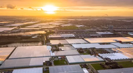 Aerial view of greenhouses in Westland, Zuid-Holland in 2020