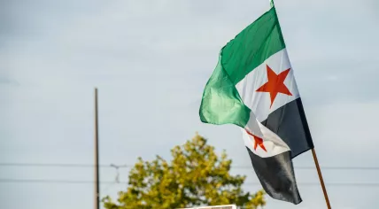 (Syrian flag at demonstration in Strasbourg, 2015)