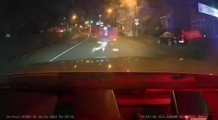 Police chase an allegedly stolen vehicle from Utrecht to Enschede, where it was struck by a police car. The driver fled on foot. 27 Nov. 2024