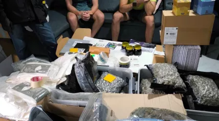 A Dutchman and a British man arrestedin Bangkok, Thailand, for trafficking in ecstasy and cannabis, 6 November 2024