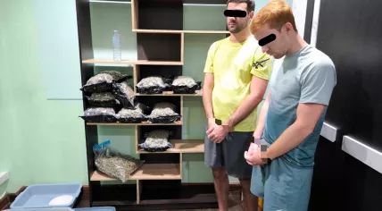 A Dutchman and a British man arrestedin Bangkok, Thailand, for trafficking in ecstasy and cannabis, 6 November 2024
