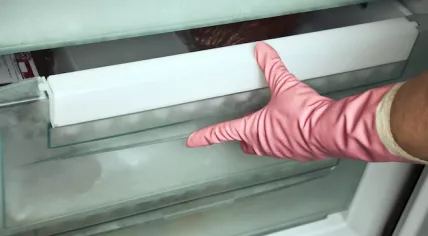 The frozen remains of Albert Visser, 67, were discovered in a freezer