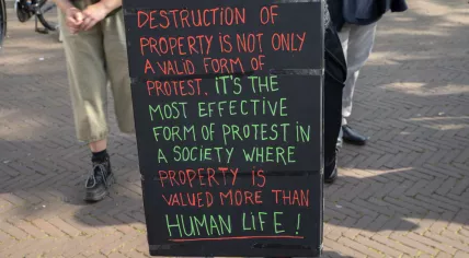 A sign promoting “destruction of property” at a pro-Palestinian protest at the University of Amsterdam. 10 May 2024