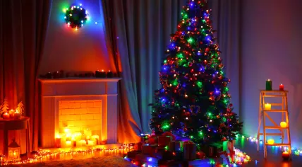 A decorated Christmas tree