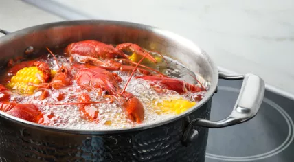 Crabs and lobsters boiling in water