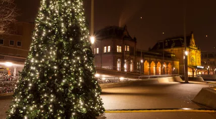 Christmas tree in Groningen