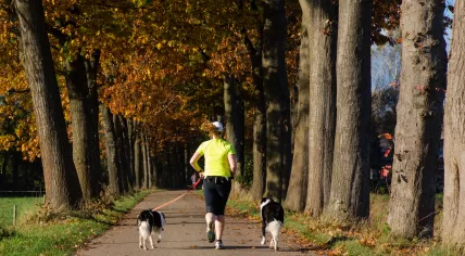 A woman running with two dogs between trees on a country road