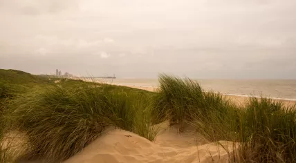 A look south towards Scheveningen Pier as the wind whips across the dunes along the North Sea. 24 Nov. 2024