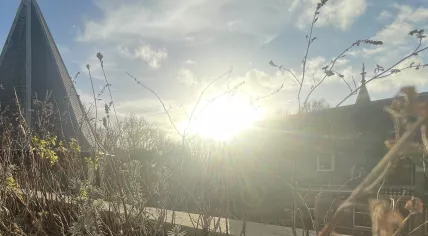 Sunshine in Amsterdam on December 20,2024