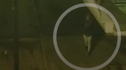 A person of interest seen on a bridge near a fatal shooting on Roelantpad in Rotterdam on 28 December 2024