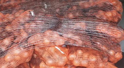 Rotten onions used to disguise drug shipments from Europe to the United Kingdom bewtween August 2015 and September 2018