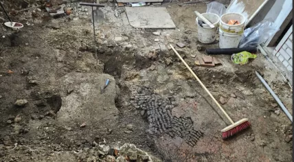 Archaeologists in Alkmaar discovered mysterious floor, partly made from animal bones.