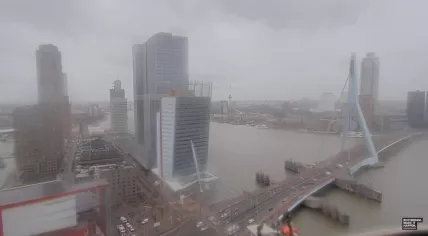 An extremely gloomy day at the Erasmus Bridge in Rotterdam, 16 December 2024