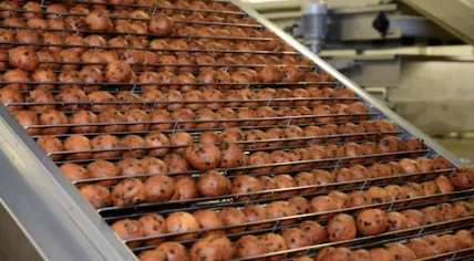 Oliebollen stand.