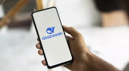 DeepSeek chatbot.