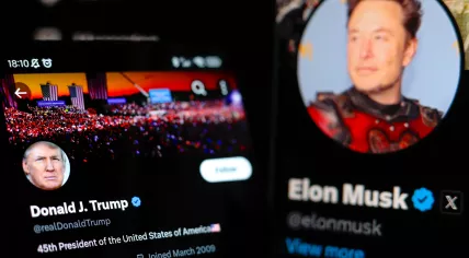 Donald Trump and Elon Musk on X