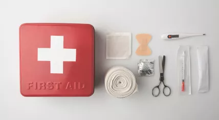 A first aid kit and its contents