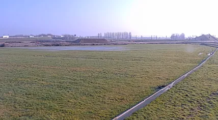 A frosty field on a cold day in Meteren, West Betuwe in Gelderland. 14 February 2025