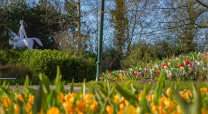 Flowers blooming in the Keukenhof in Lisse, 18 March 2025