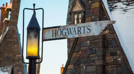The junction between Hogwarts and Hogsmeade in the Wizarding World at Universal's Islands of Adventure in Orlando.