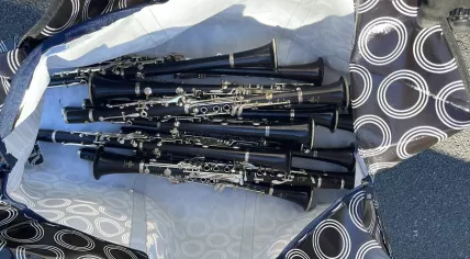 Clarinets that were stolen from an Amsterdam showroom on Tuesday, March 18, 2025.