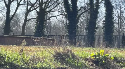  The sun shining along the Oosterpark in Amsterdam with spring on the way. 4 March 2025