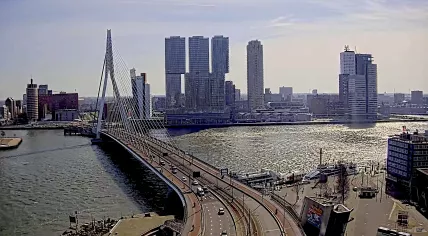 Looking across the Erasmus Bridge and Nieuwe Maas River on a sunny spring day in Rotterdam. 21 March 2025