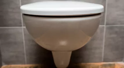 A public toilet seat
