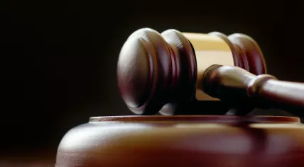 Auctioneer's gavel
