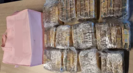Police discovered 966,000 euros in cash when checking two men after spotting a suspicous handover in Nieuwegein, 10 April 2025