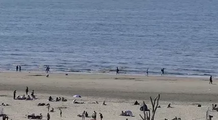 People enjoying the first summer-weather day of the year at Zandvoort Beach. 30 April 2025