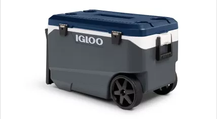 The Igloo 90 Qt. Flip & Tow Rolling Cooler was recalled in April 2025 in the Netherlands for potentially causing severe damage to an individual’s fingertips
