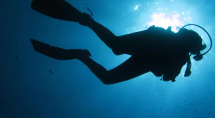 A diver.