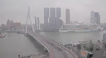 A gray and dreary view of Rotterdam over the Erasmus Bridge, 29 May 2025