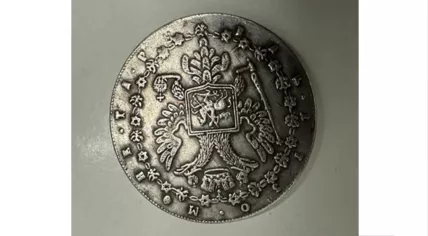 Authorities confiscated a wide range of cultural goods, including archaeological artifacts, artworks, coins, and musical instruments. 