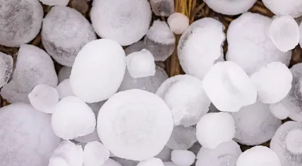 Large hailstones.