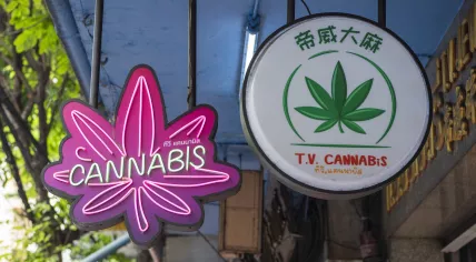 Cannabis shop signs displayed in Bangkok, Thailand, where cannabis was legalized for limited use in 2022.