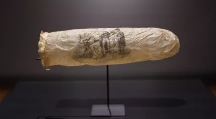 A condom with an erotic print from around 1830 displayed in the Rijksmuseum, June 2025