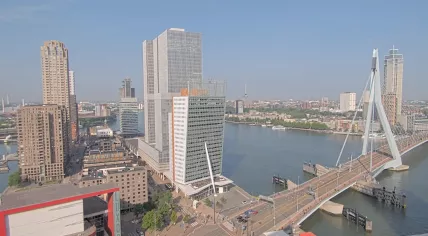 A cloudless and sunny day in Rotterdam, 13 June 2025