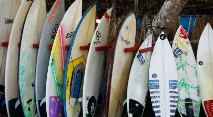 Surfboards standing in a row