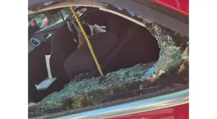 Officers smashed in a rear window to save baby from hot car in Amersfoort, July 1, 2025.