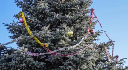 Christmas tree