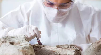 A paleontologist working in a lab,