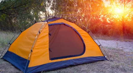 A tent in a forest