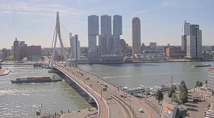 A sunny day in Rotterdam, viewed over the Erasumus Bridge. 4 July 2025