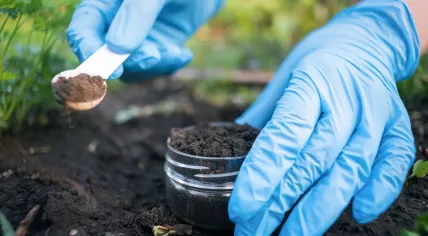A scientist taking a soil sample